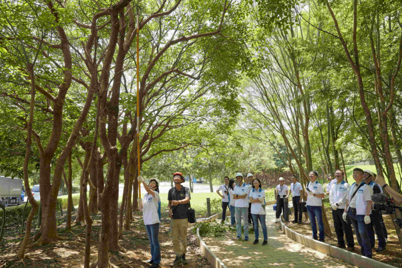 藝師教導大家認識樹木、檢查樹的健康狀況，學習修枝及碎枝覆土